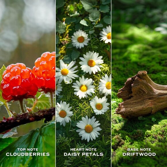 Daisy Love Eau de Toilette Travel Spray 0.33 fl oz - Picture 3 of 7